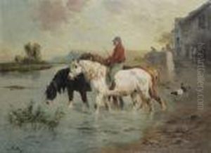 Boer Met Paarden De Rivier Overstekend
