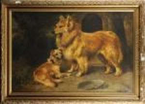 Les Chiens Les Chiens