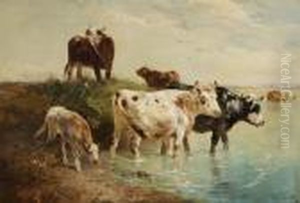 Bulls And Cows Near The Water - view 1