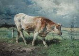 Cow In The Meadow by Henry Schouten