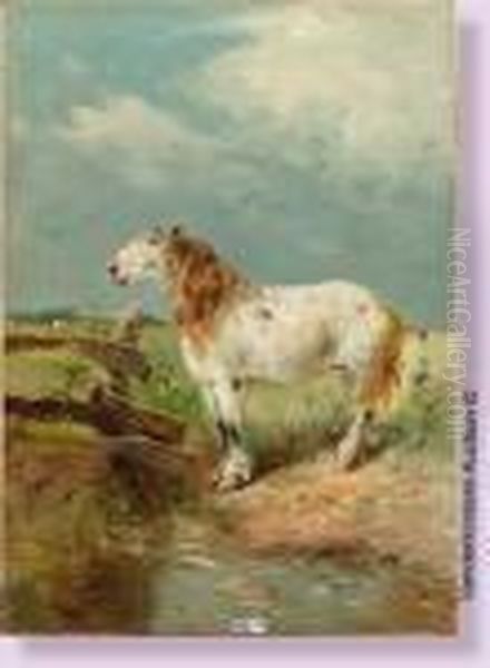 Cheval De Trait Au Pre - view 1