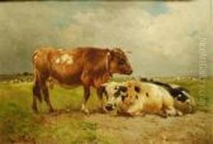 Vaches Au Pre Vaches Au Pre