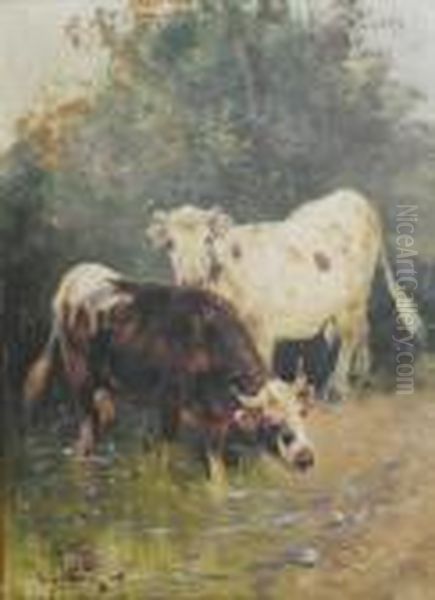 Vaches - view 1