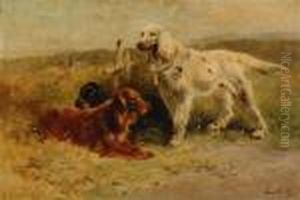 Three Setters by Henry Schouten