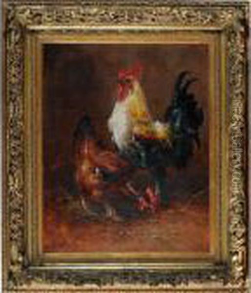 Coq Et Poules - view 1