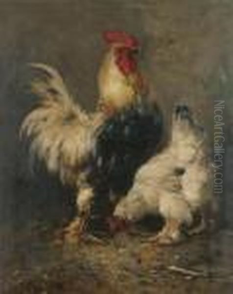 Cock And Chicken - view 1
