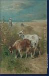 Chevres Dans Les Dunes by Henry Schouten