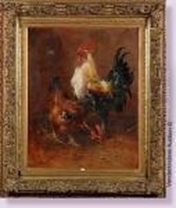 Coq Et Poule Coq Et Poule
