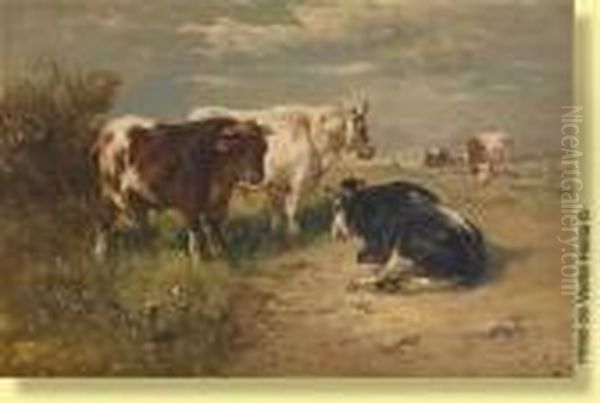 Vaches Et Bufs Au Paturage - view 1