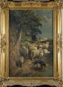Le Retour Des Moutons by Henry Schouten