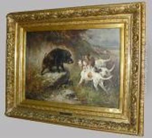 La Chasse Au Sanglier