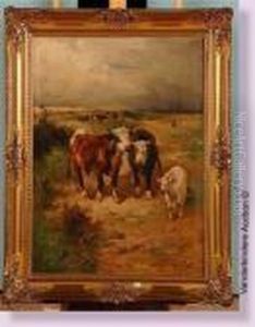 Jeune Fermiere Et Ses Vaches Dans Les Dunes Jeune Fermiere Et Ses Vaches Dans Les Dunes