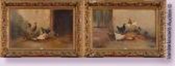 Poules Et Coqs - view 1