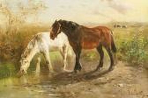 Two Horses At The Watering Place. - view 1