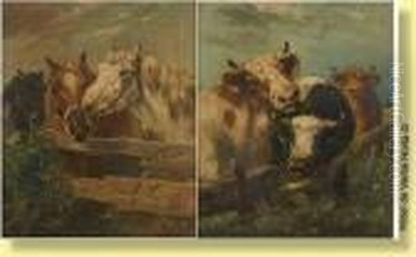 Chevaux - view 1