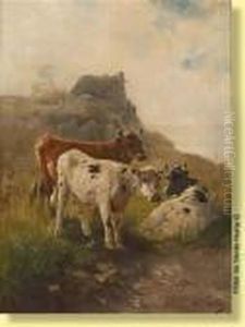 Vaches En Bord De Mer