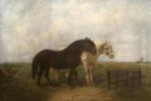 Two Shire Horses by Henry Schouten