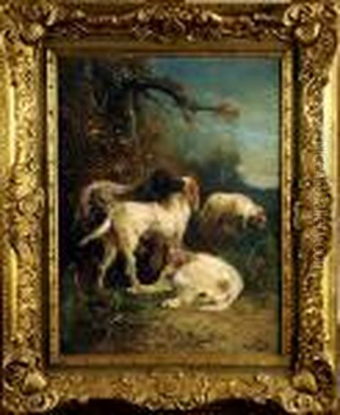 Chiens De Chasse - view 1