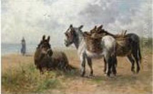 Donkeys On The Beach Donkeys On The Beach