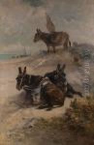 Esel Am Strand by Henry Schouten