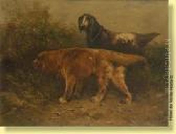 Chiens De Chasse A L'arret - view 1