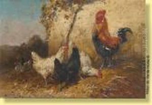 Coq Et Poules Picorant