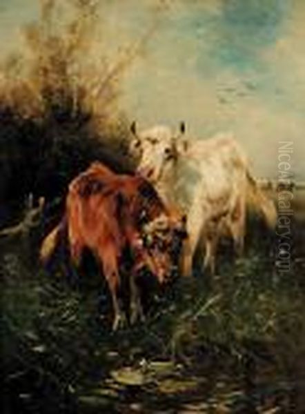 Untitled - Cattle Stopping Forwater - view 1