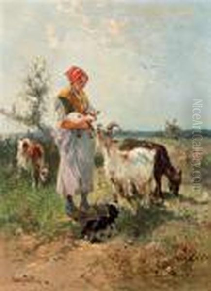 Giovane Capraia - view 1