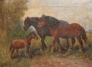 Chevaux Et Poulain Dans La Prairie