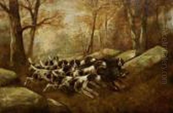 Chiens Courant Prenant Le Sanglier - view 1