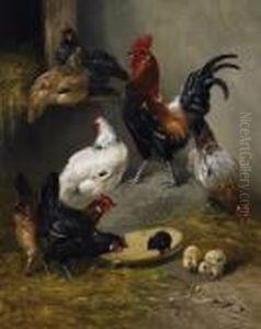 Poultry In The Stable by Henry Schouten