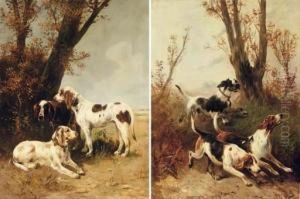 Chiens De Chasse (hunting Dogs)