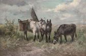 The Fisherman's Donkeys The Fisherman's Donkeys