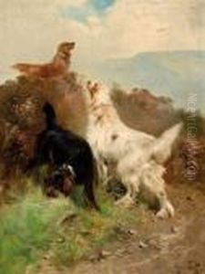 Drie Honden
