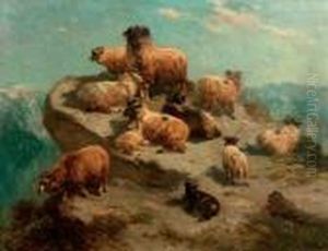 Mountain Sheep On A Cliff's Edge Mountain Sheep On A Cliff's Edge