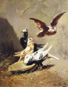Duiven by Henry Schouten