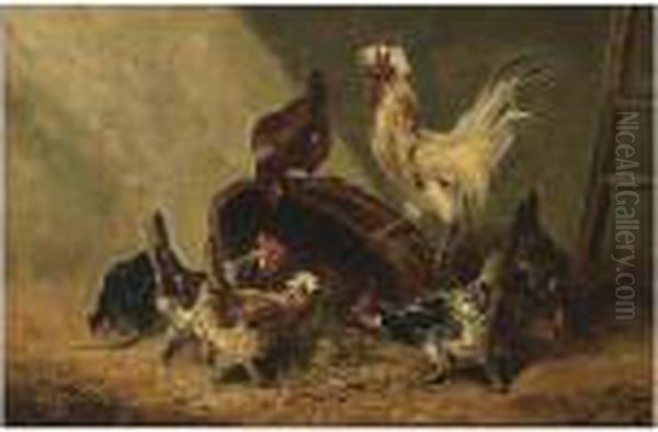 Chickens With A Rooster In A Barn - view 1