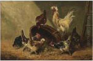 Chickens With A Rooster In A Barn by Henry Schouten