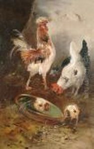 Cockerels And Chicks