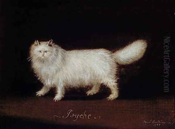 Psyche, the Persian Cat, 1787 - view 1