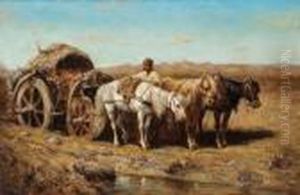 Carro A Cavalli