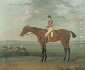 Laburnum, with jockey up