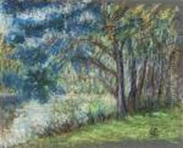 Paysage - view 1