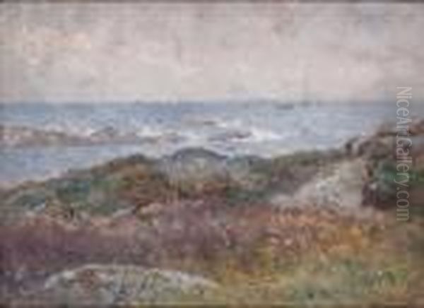 Hallands Vadero - view 1