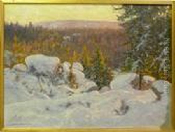 Vinterlandskap. - view 1
