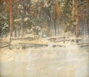 Skogslandskap I Vinterskrud