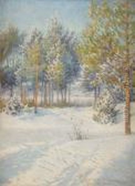 Vinterdag Vid Grangarde - Dalarna - view 1