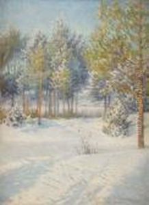 Vinterdag Vid Grangarde - Dalarna