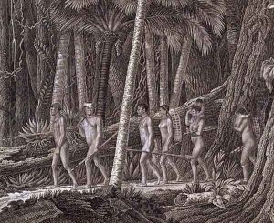 Puri Indians in the jungle, Brazil, c.1815-17 by & Rist, Gottfried Seyffer, August