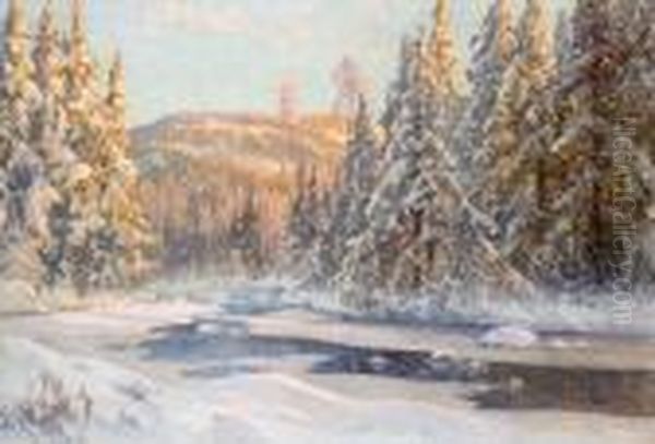 Midvinter (motiv Fran Wika Dalarne) - view 1